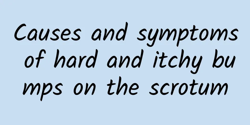 Causes and symptoms of hard and itchy bumps on the scrotum
