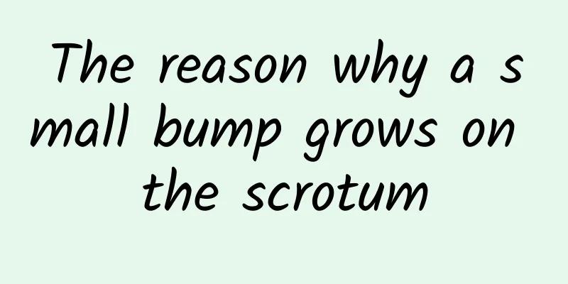 The reason why a small bump grows on the scrotum