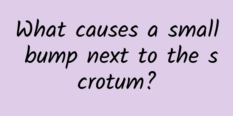 What causes a small bump next to the scrotum?