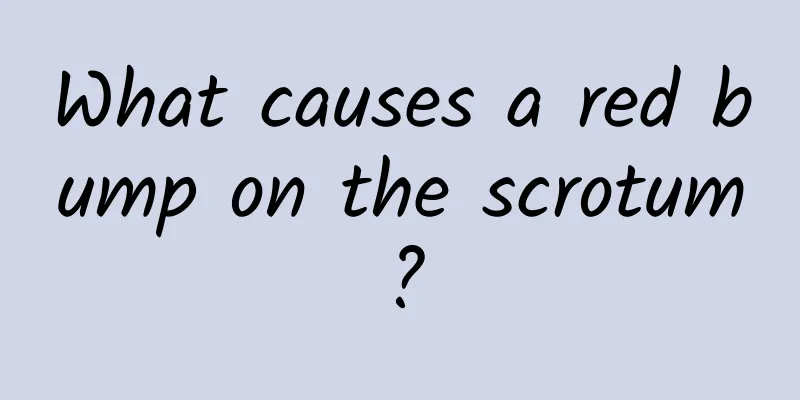 What causes a red bump on the scrotum?