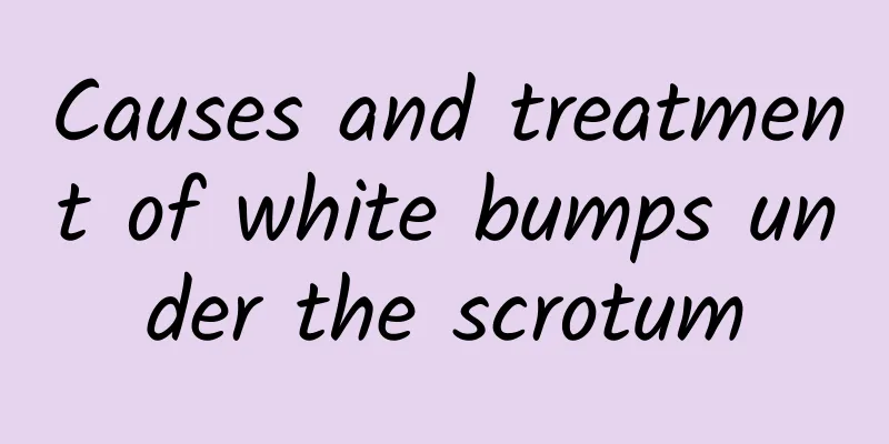 Causes and treatment of white bumps under the scrotum