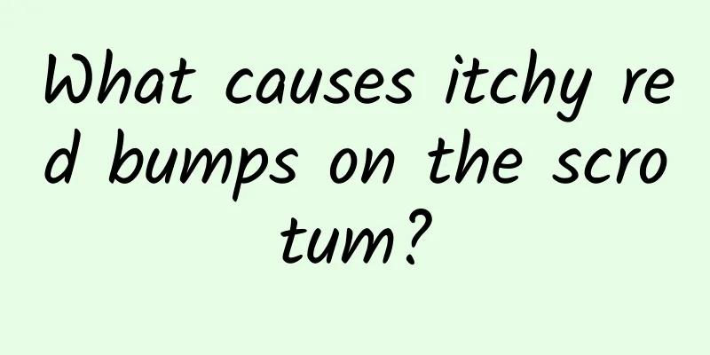 What causes itchy red bumps on the scrotum?