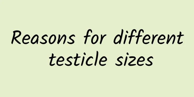 Reasons for different testicle sizes