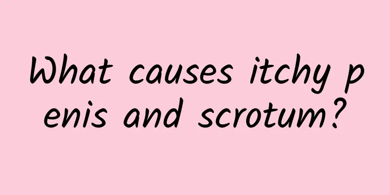 What causes itchy penis and scrotum?