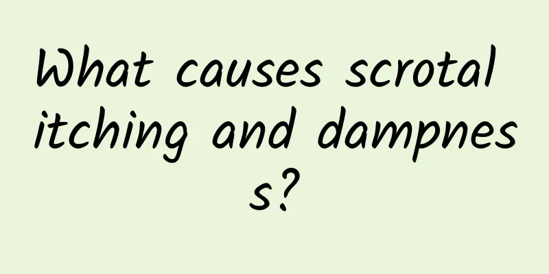 What causes scrotal itching and dampness?