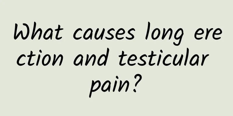 What causes long erection and testicular pain?