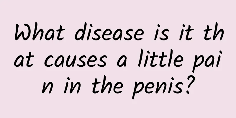 What disease is it that causes a little pain in the penis?
