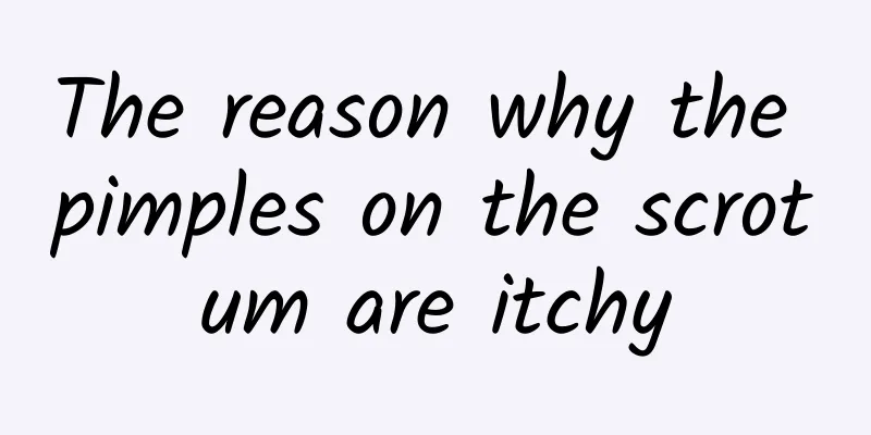 The reason why the pimples on the scrotum are itchy