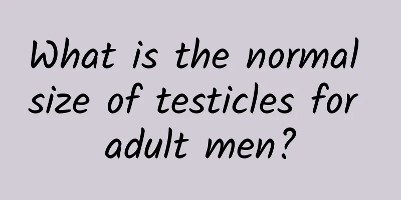 What is the normal size of testicles for adult men?