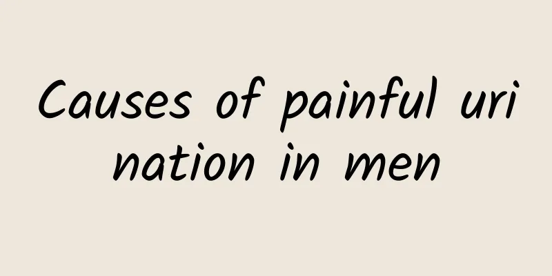 Causes of painful urination in men