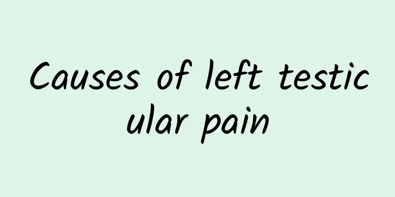 Causes of left testicular pain