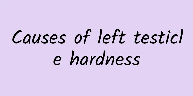 Causes of left testicle hardness