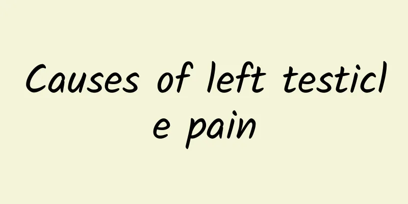 Causes of left testicle pain