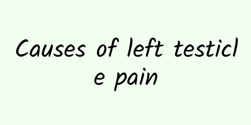 Causes of left testicle pain