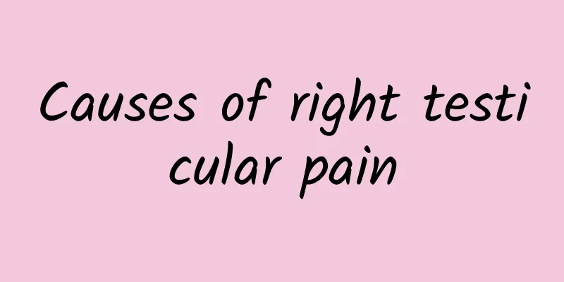Causes of right testicular pain
