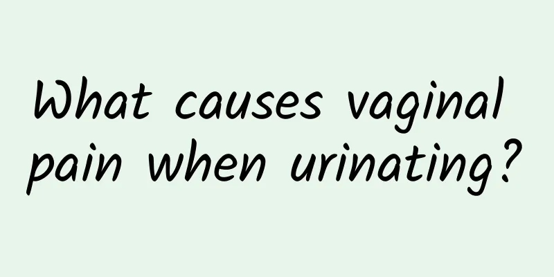 What causes vaginal pain when urinating?