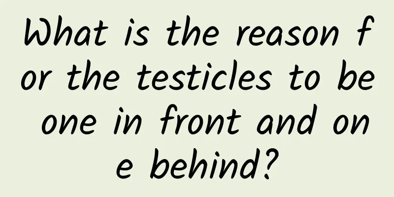 What is the reason for the testicles to be one in front and one behind?