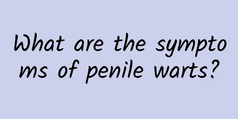 What are the symptoms of penile warts?
