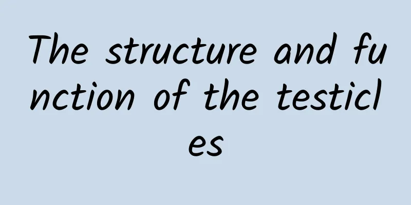 The structure and function of the testicles