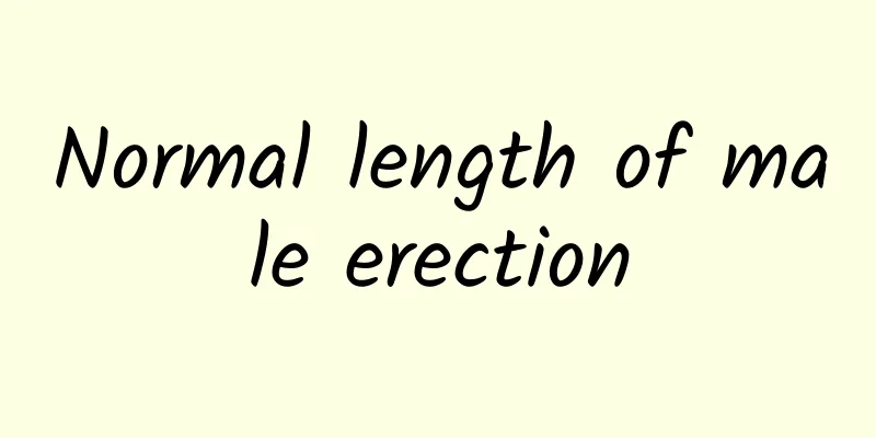 Normal length of male erection