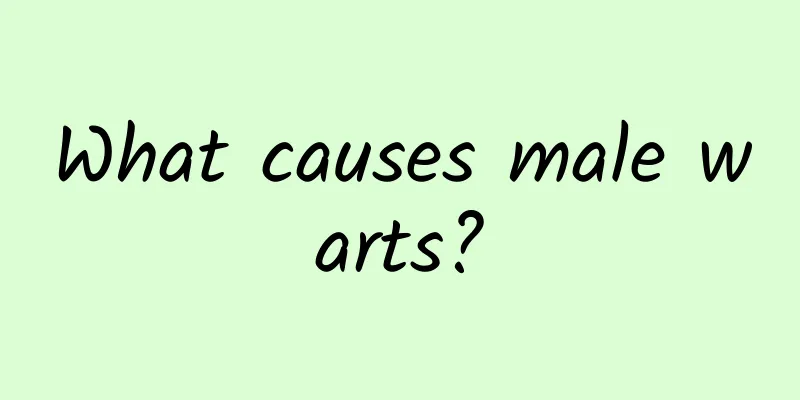 What causes male warts?