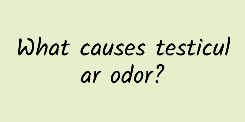 What causes testicular odor?