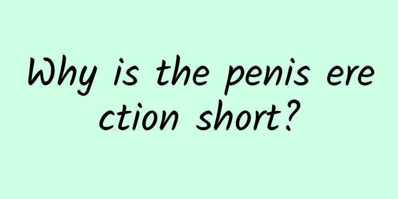 Why is the penis erection short?