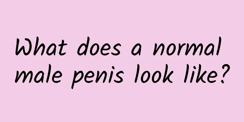 What does a normal male penis look like?