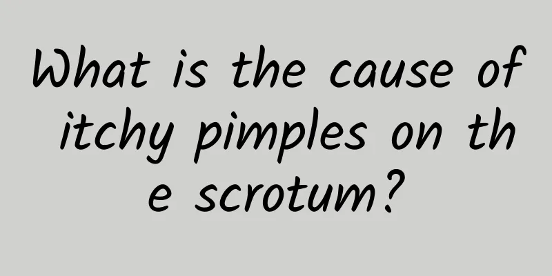 What is the cause of itchy pimples on the scrotum?