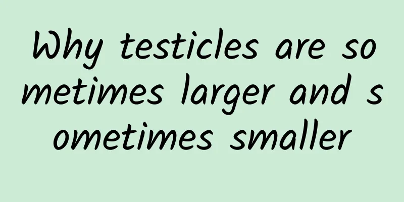 Why testicles are sometimes larger and sometimes smaller