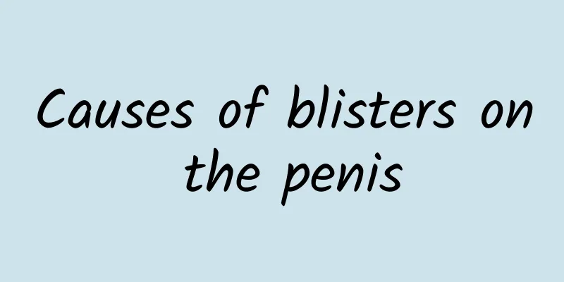 Causes of blisters on the penis