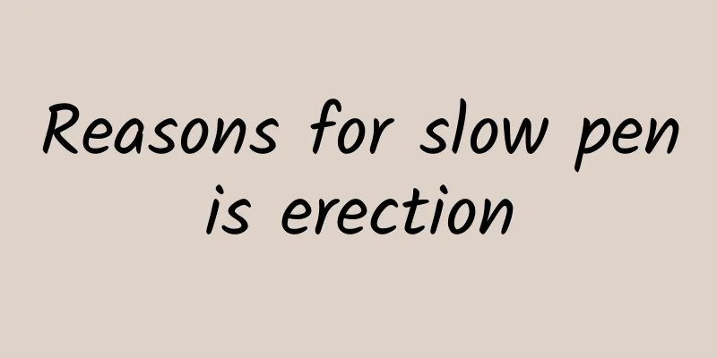 Reasons for slow penis erection