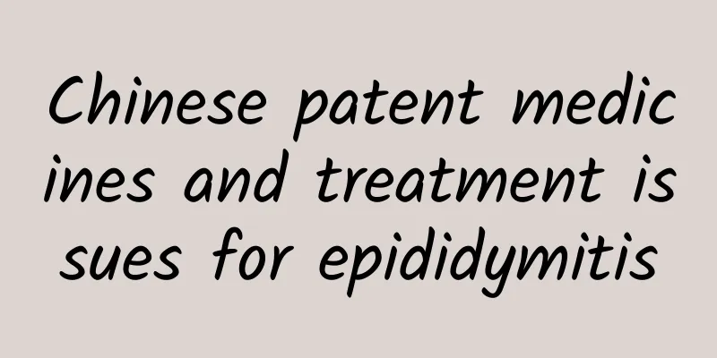 Chinese patent medicines and treatment issues for epididymitis