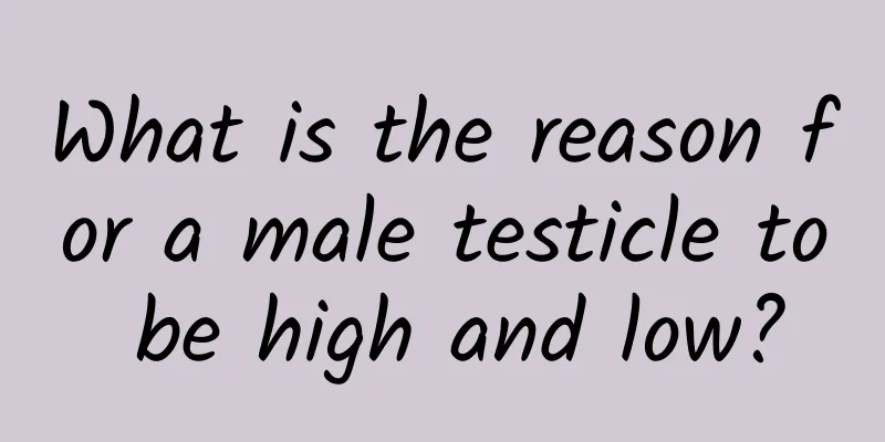 What is the reason for a male testicle to be high and low?