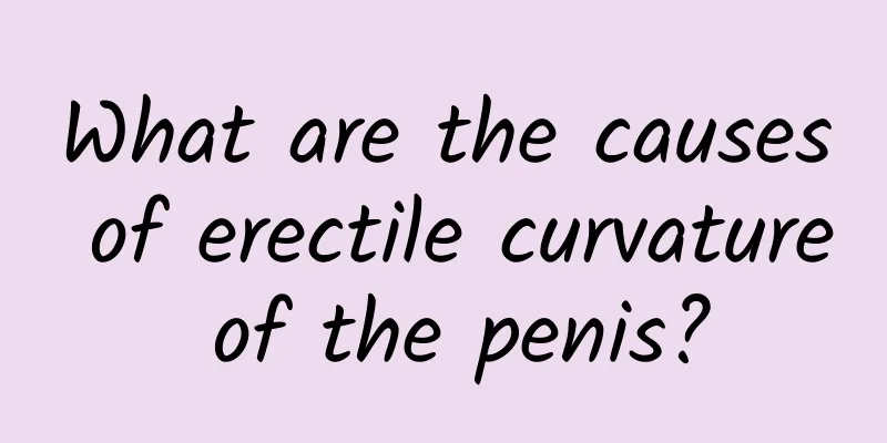 What are the causes of erectile curvature of the penis?