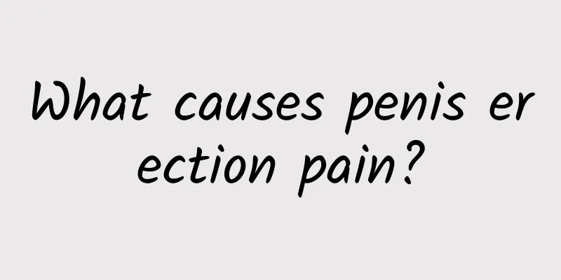 What causes penis erection pain?