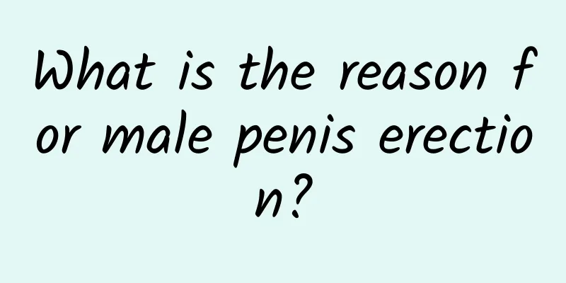 What is the reason for male penis erection?