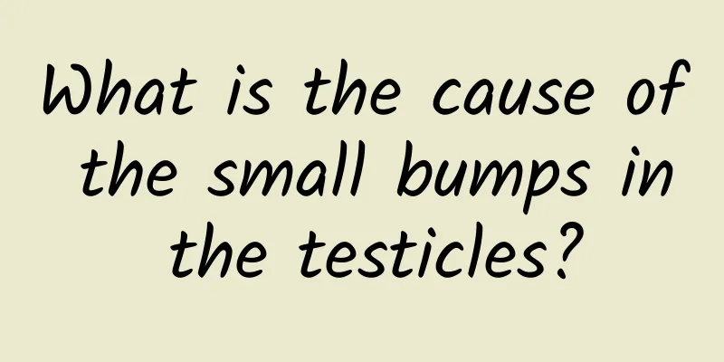 What is the cause of the small bumps in the testicles?