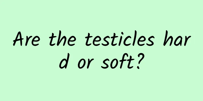 Are the testicles hard or soft?