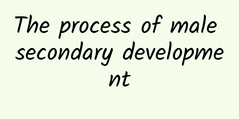 The process of male secondary development