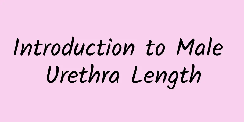 Introduction to Male Urethra Length