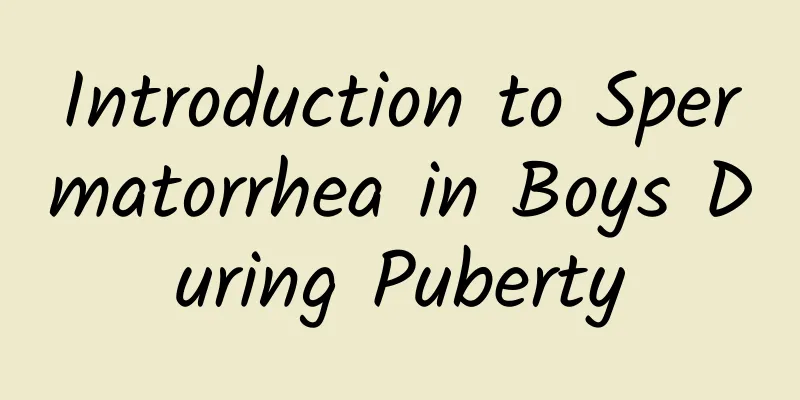Introduction to Spermatorrhea in Boys During Puberty