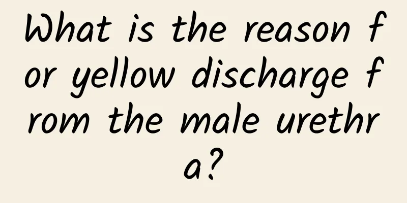What is the reason for yellow discharge from the male urethra?