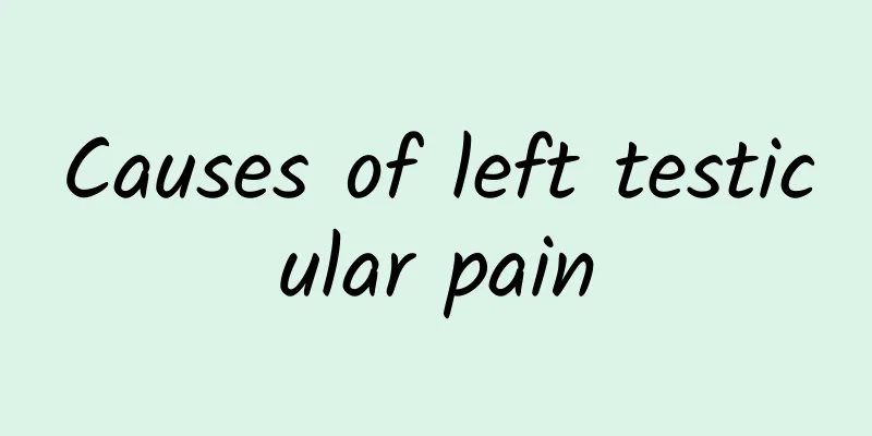 Causes of left testicular pain