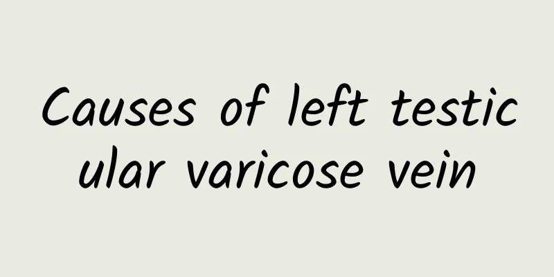 Causes of left testicular varicose vein