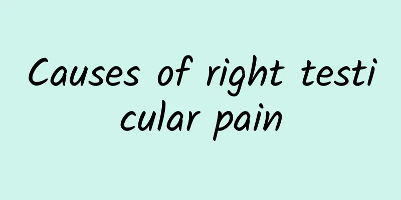 Causes of right testicular pain