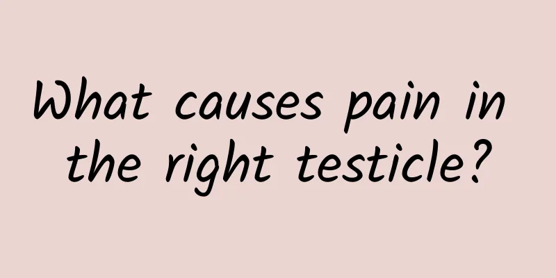 What causes pain in the right testicle?