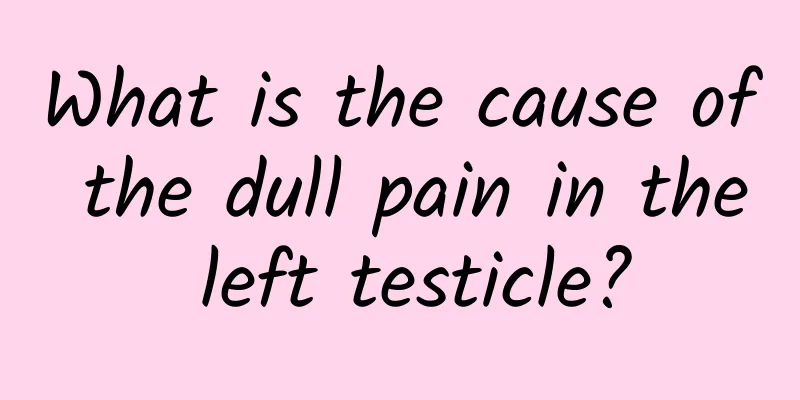 What is the cause of the dull pain in the left testicle?