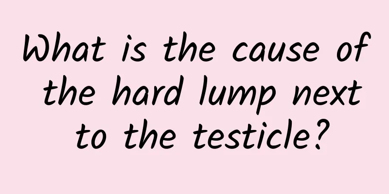 What is the cause of the hard lump next to the testicle?