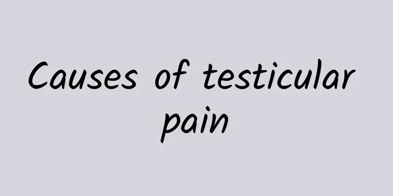 Causes of testicular pain